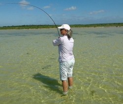 Bonefishing in the shallows