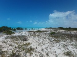 Westside National Park